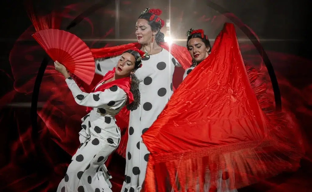 Ballerina di flamenco nei diversi stili con ventaglio e con mantòn