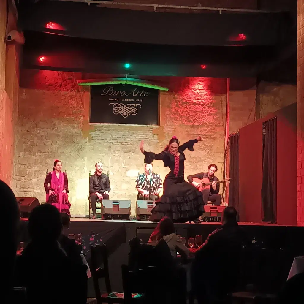 Spettacolo di flamenco in un tablao con ballerina al centro e alle spalle seduti in cerchio il chitarrista, la cantante e altri 2 ballerini. Il pubblico seduto ai tavoli sta degustnado un calice di sherry.